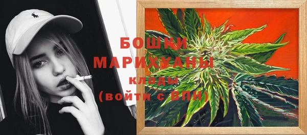 ECSTASY Армянск