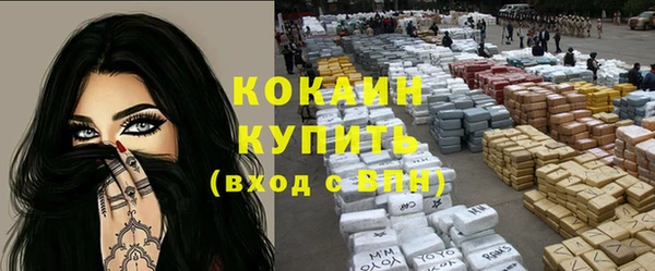 твердый Арсеньев