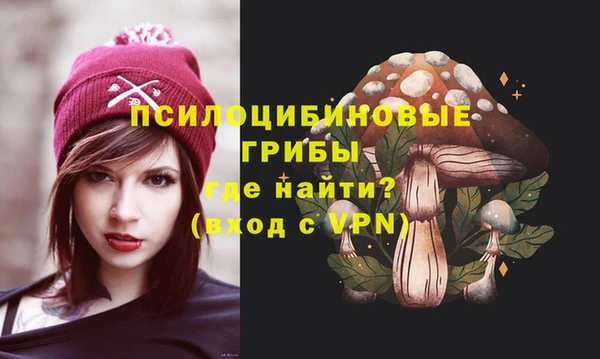 ECSTASY Армянск