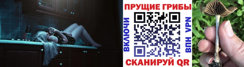 Галлюциногенные грибы мухоморы blacksprut ссылка Богучар
