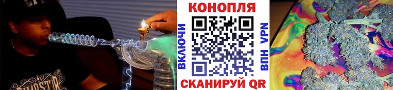 Бошки Шишки гибрид  Богучар 